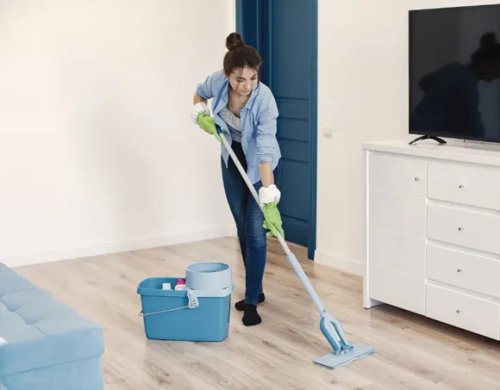 Femme de ménage Tartonne